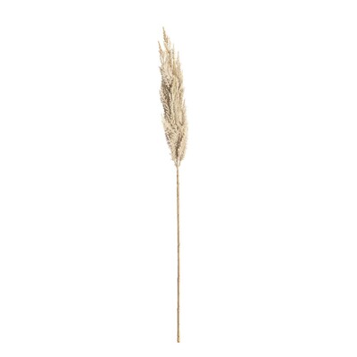 Gałązka Trawy Pampasowej 90cm cream