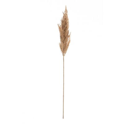 Gałązka Trawy Pampasowej 90cm beige