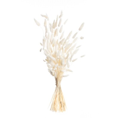 Bukiet Dmuszka 60cm cream