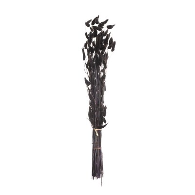 Bukiet Dmuszka 60cm dark brown