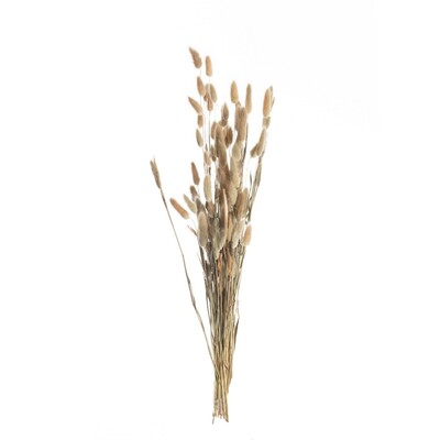 Bukiet Dmuszka 60cm beige