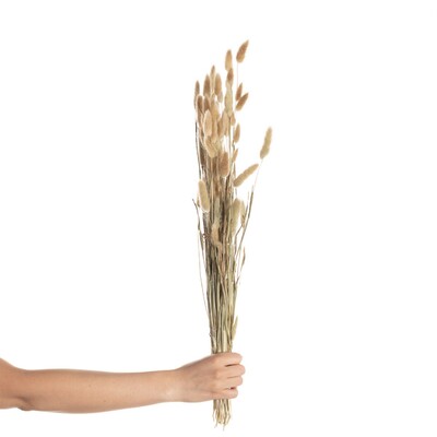 Buchet 60cm beige 5 x 5 x 60 cm
