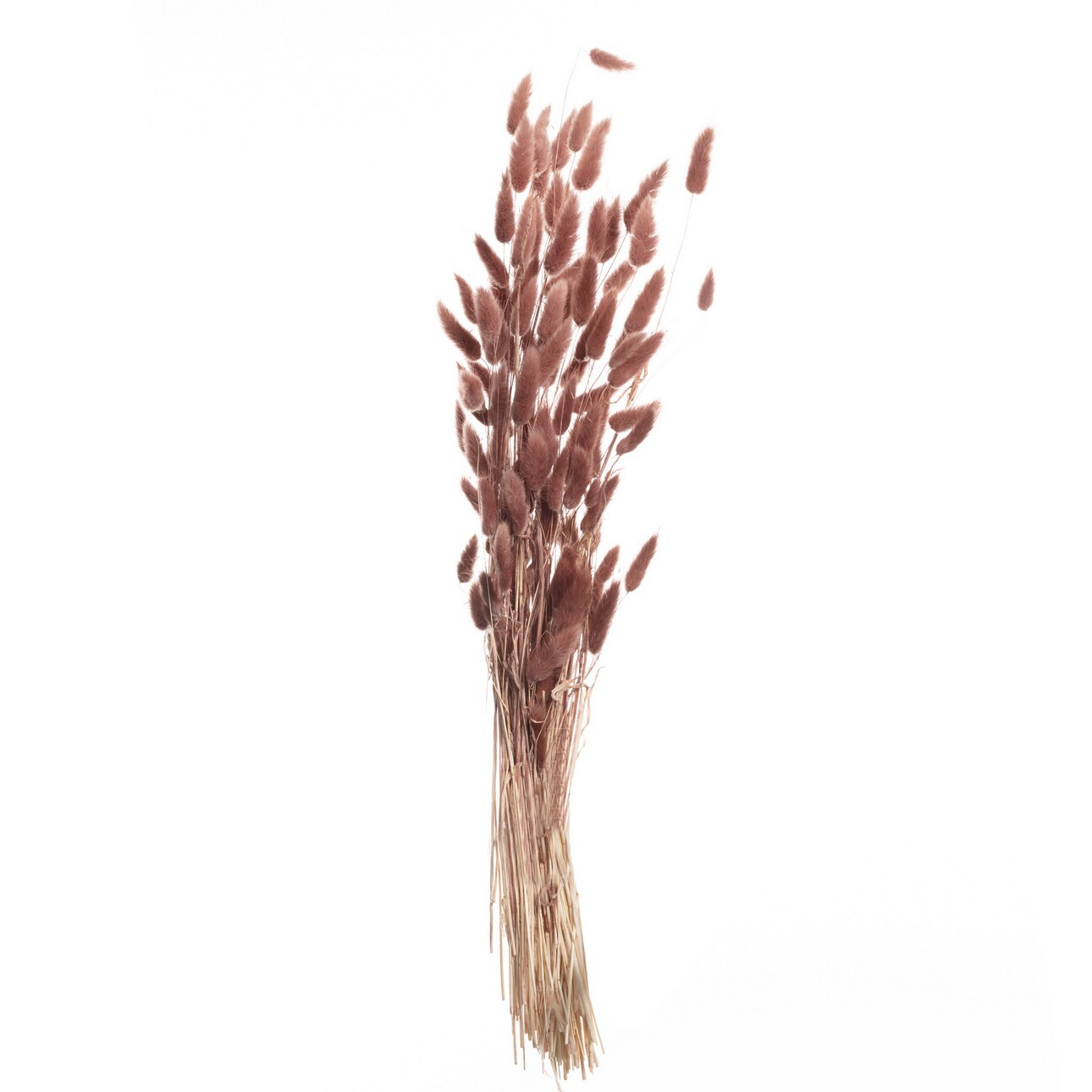 Bukiet Dmuszka 60cm dusty pink