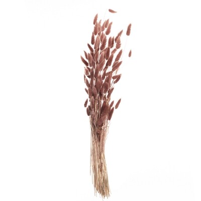Bukiet Dmuszka 60cm dusty pink