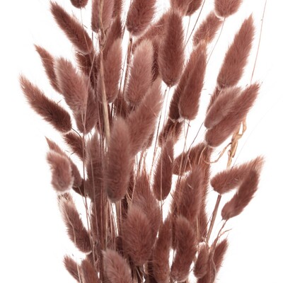 Bukiet Dmuszka 60cm dusty pink 5 x 5 x 60 cm
