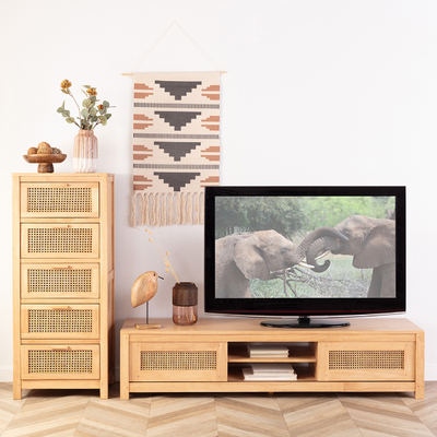 Szafka RTV Agra 162x45x37cm 162 x 45 x 37 cm