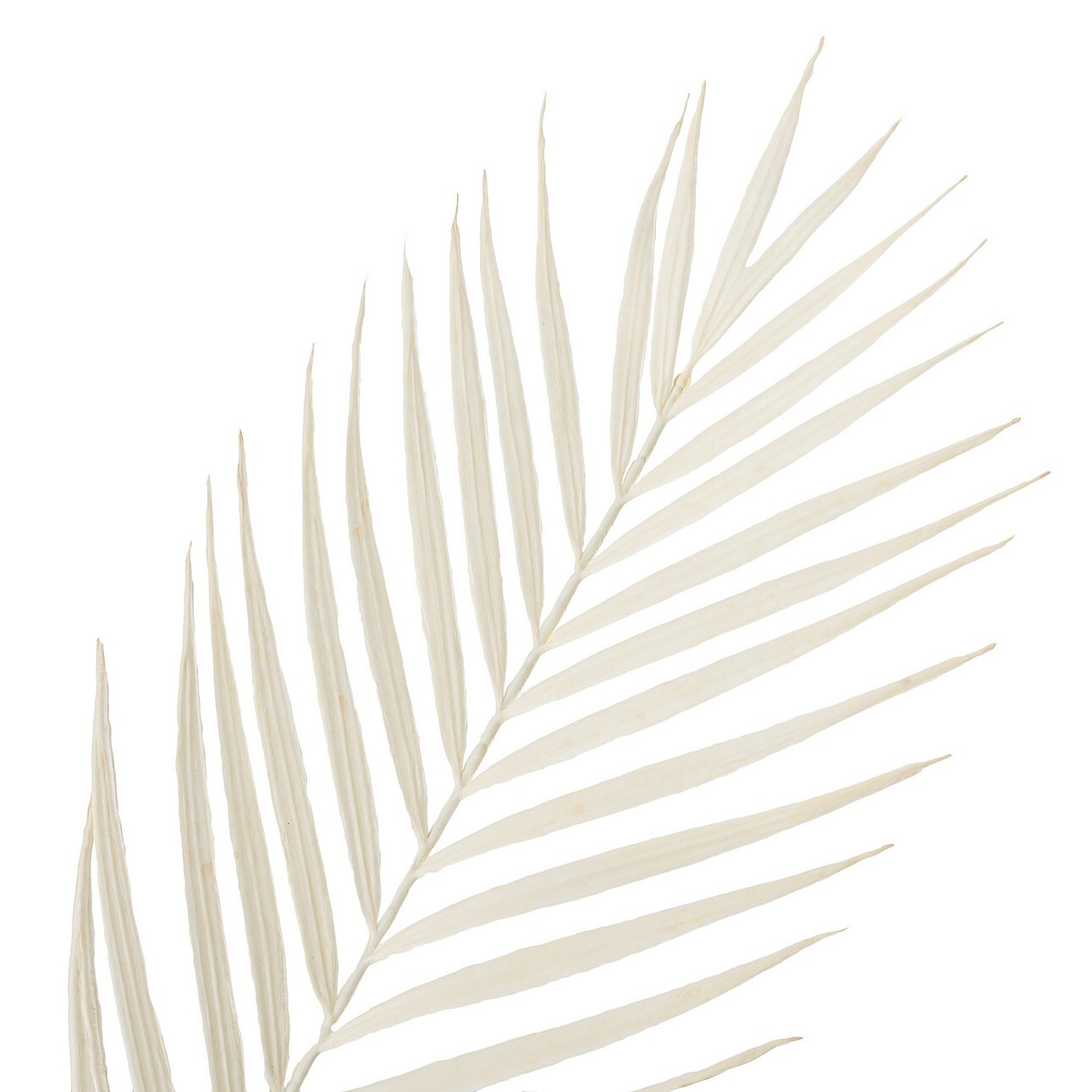 Gałązka Palmera 95 cm white