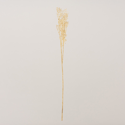 Decoratieve Tak Frostbloom 80 cm