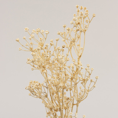 Decoratieve Tak Frostbloom 80 cm 5x80 cm