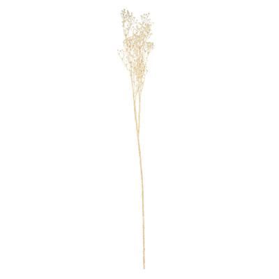 Decoratieve Tak Frostbloom 80 cm 5x80 cm