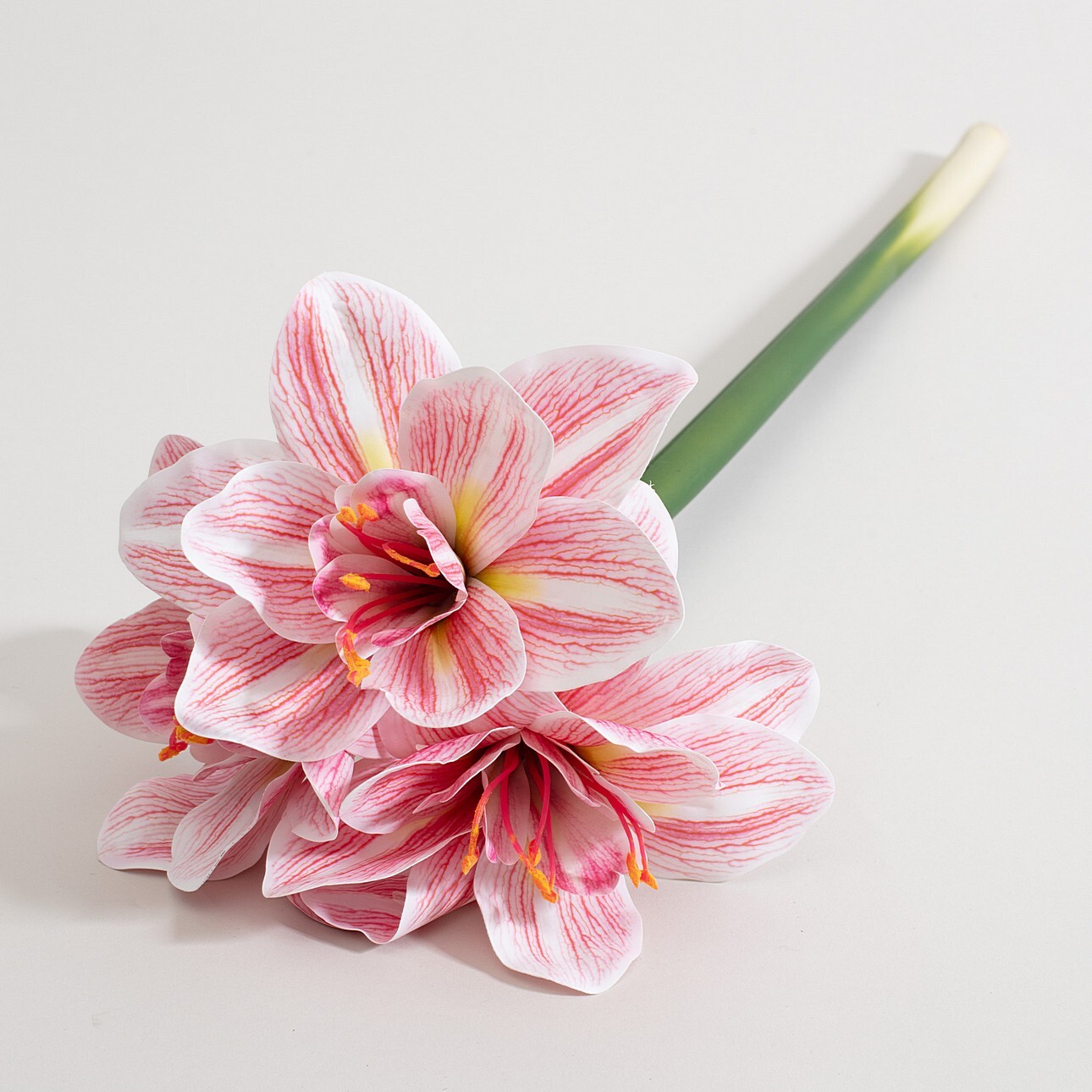 Levně Dekoria Umělá květina Amarylis 62 cm pink, 15x62 cm