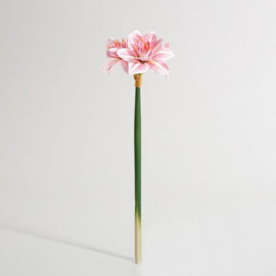 Kwiat sztuczny Amarylis 62 cm pink 15x62 cm