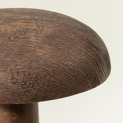 Houba Darkcap 12x18 cm 12x12x18 cm