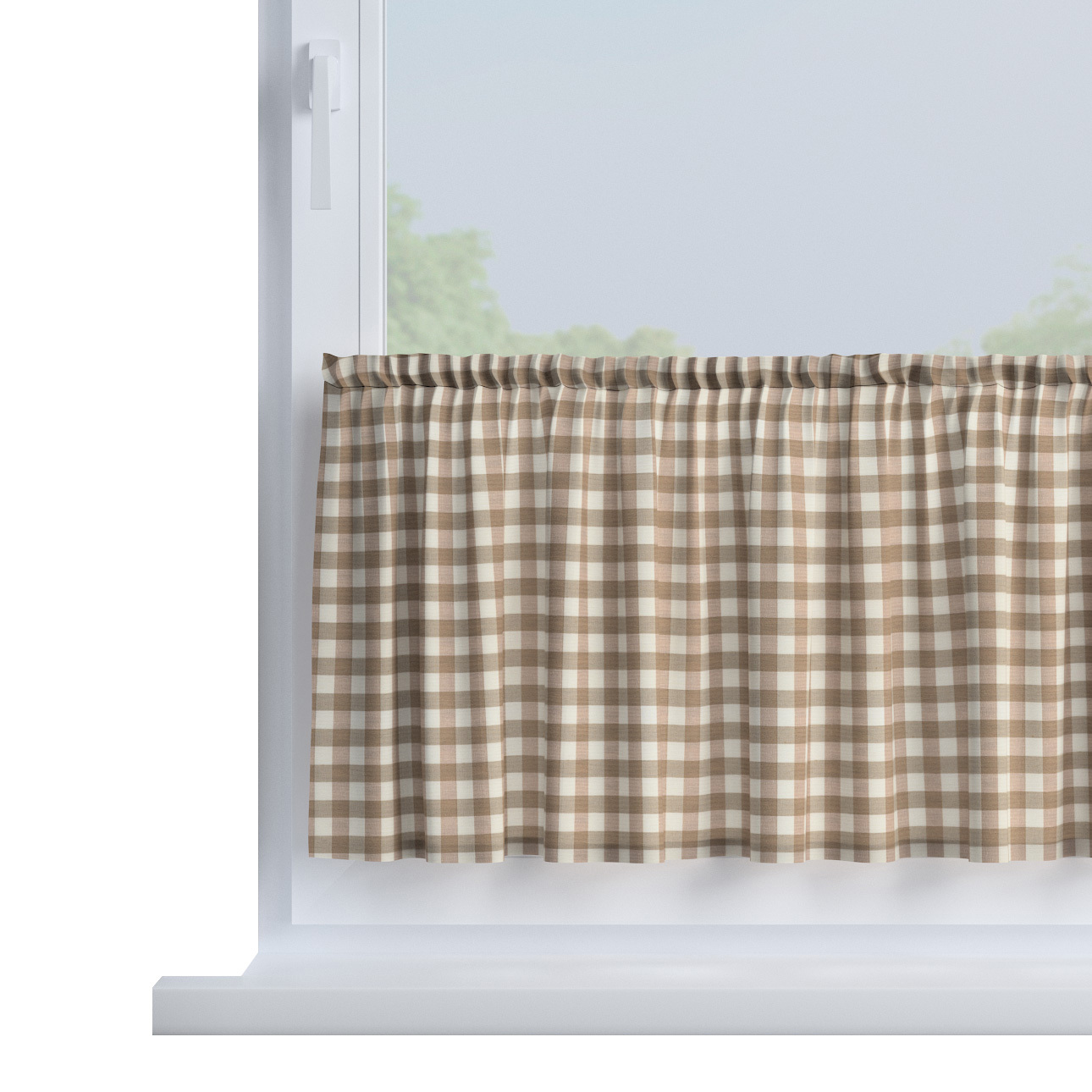 Zazdrostka prosta na metry