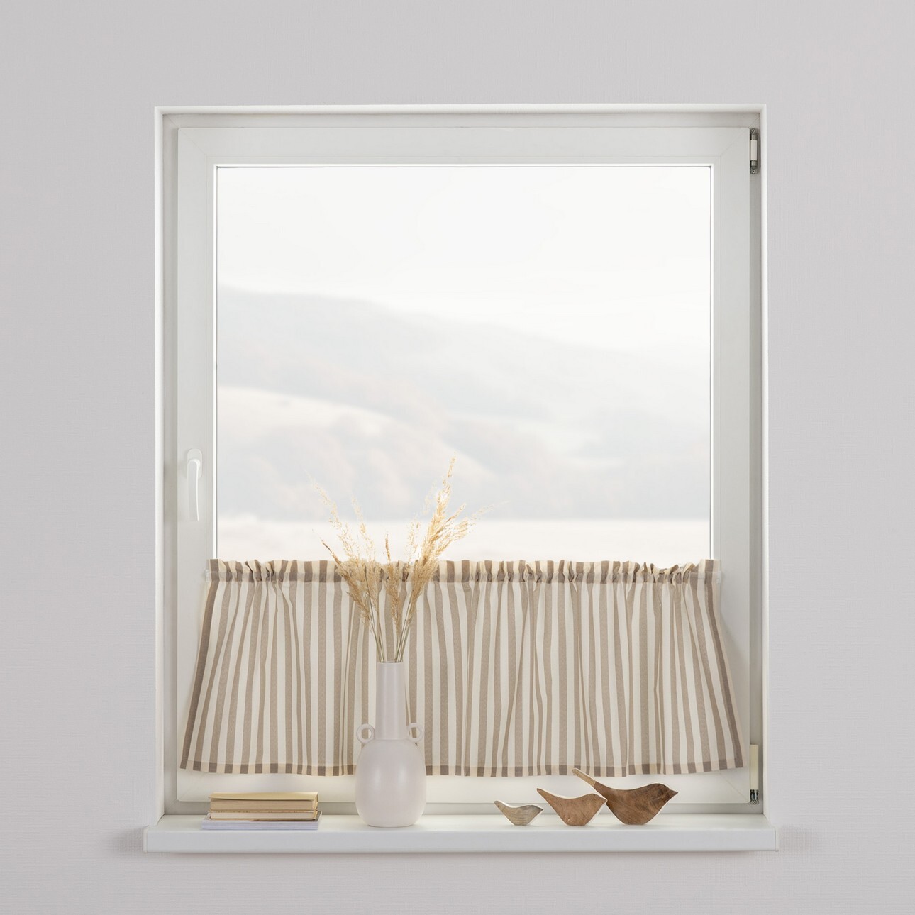 Zazdrostka prosta na metry