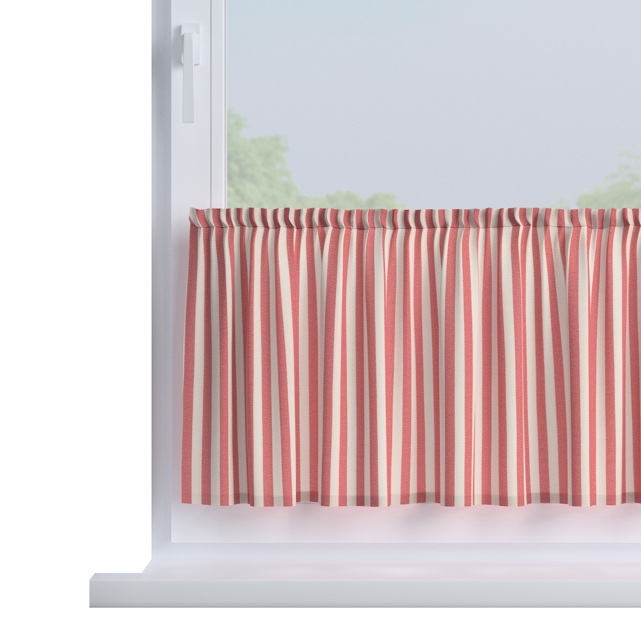 Zazdrostka prosta na metry