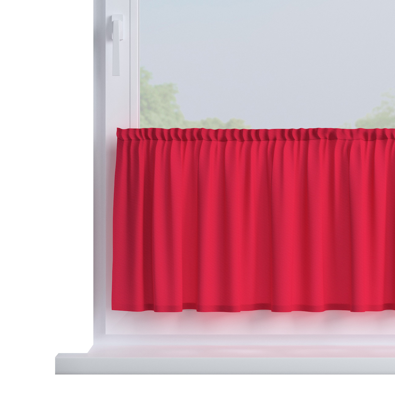 Zazdrostka prosta na metry