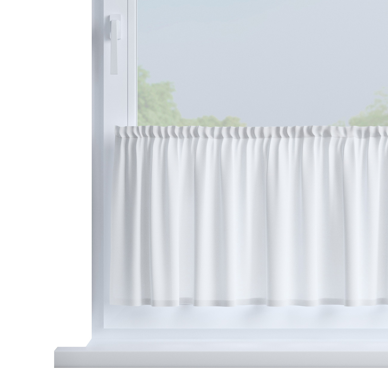 Zazdrostka prosta na metry