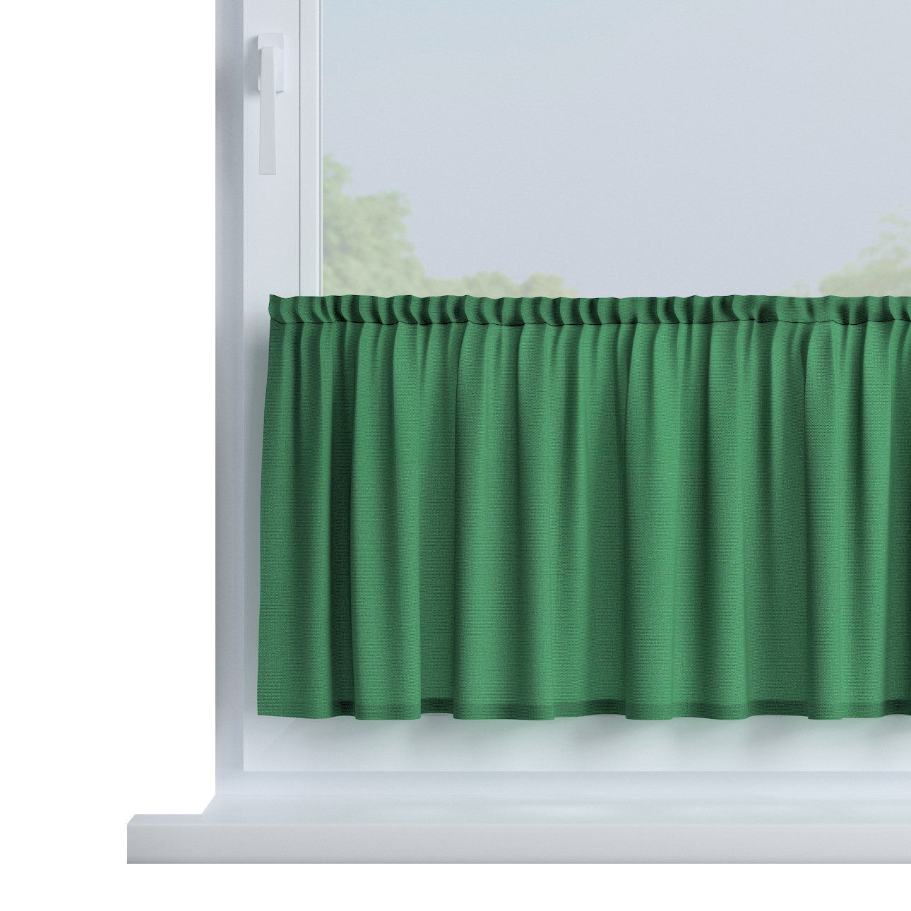 Zazdrostka prosta na metry