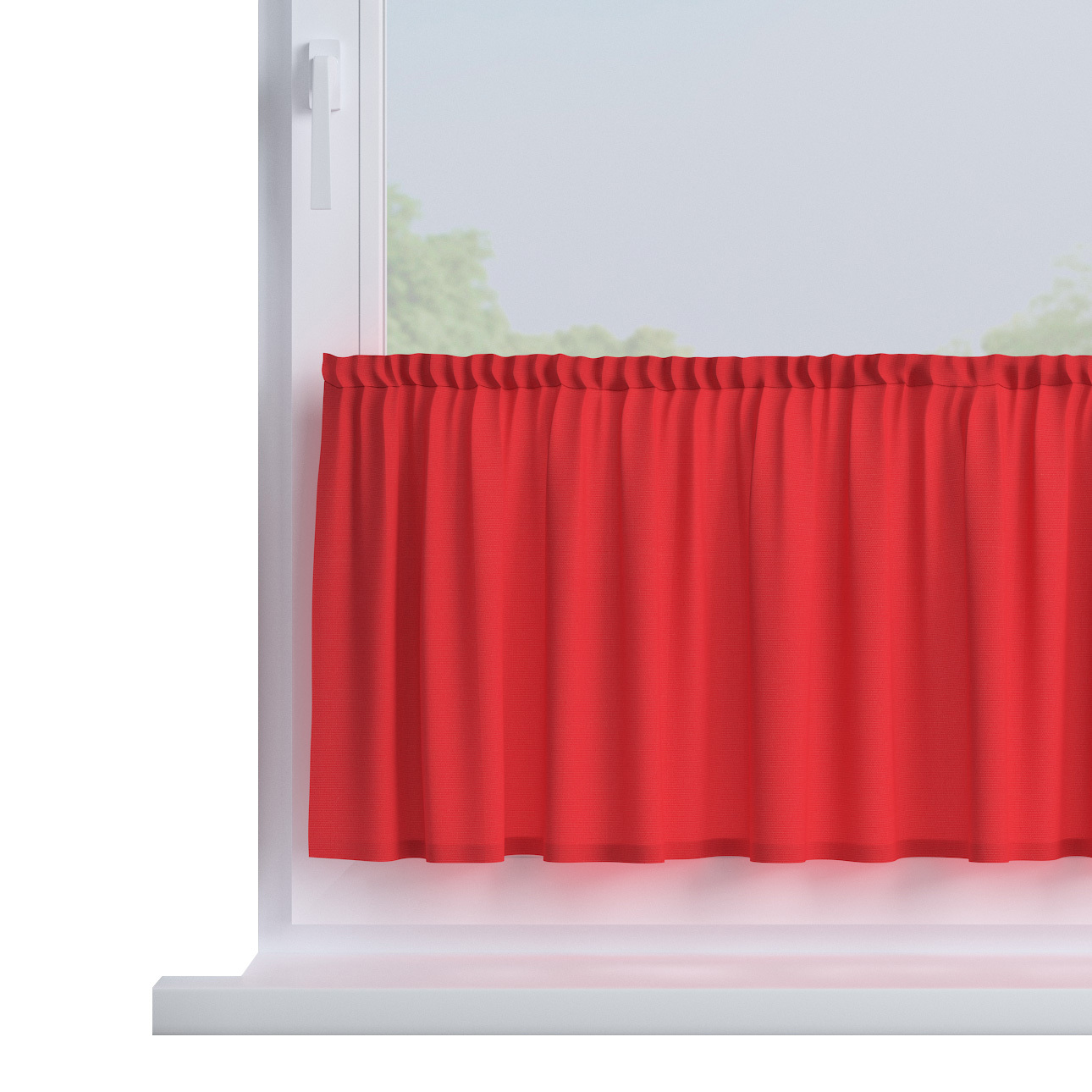 Zazdrostka prosta na metry