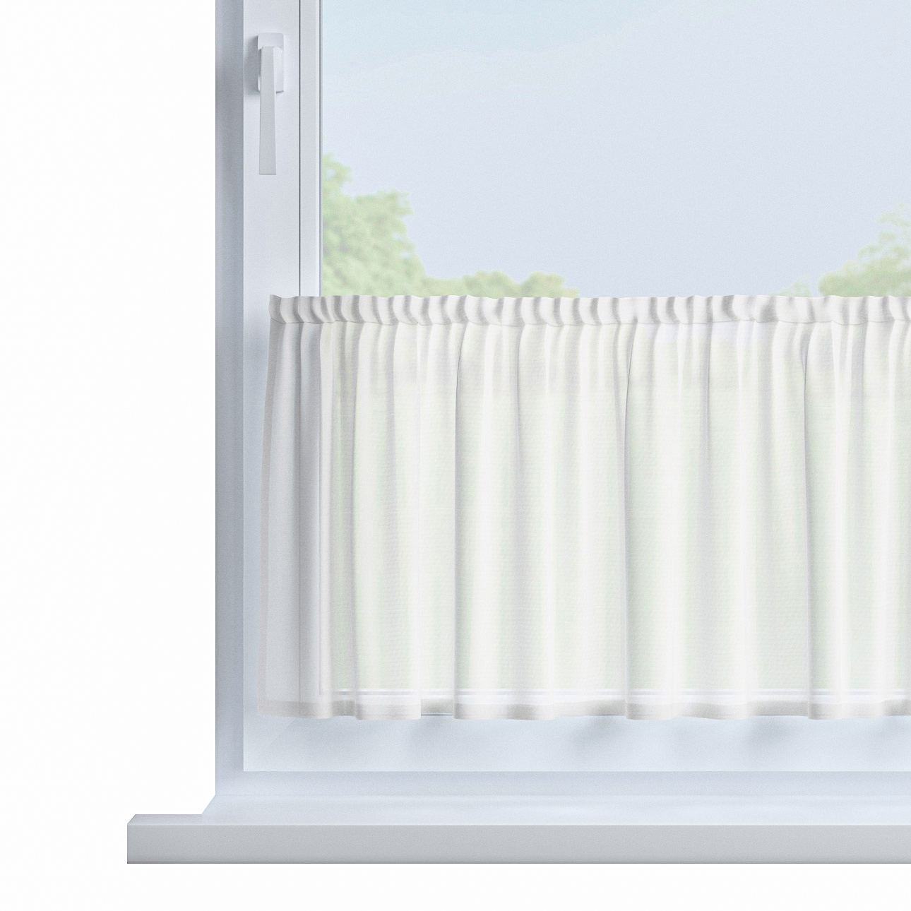 Zazdrostka prosta na metry