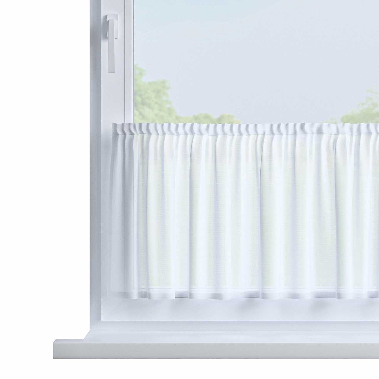 Zazdrostka prosta na metry