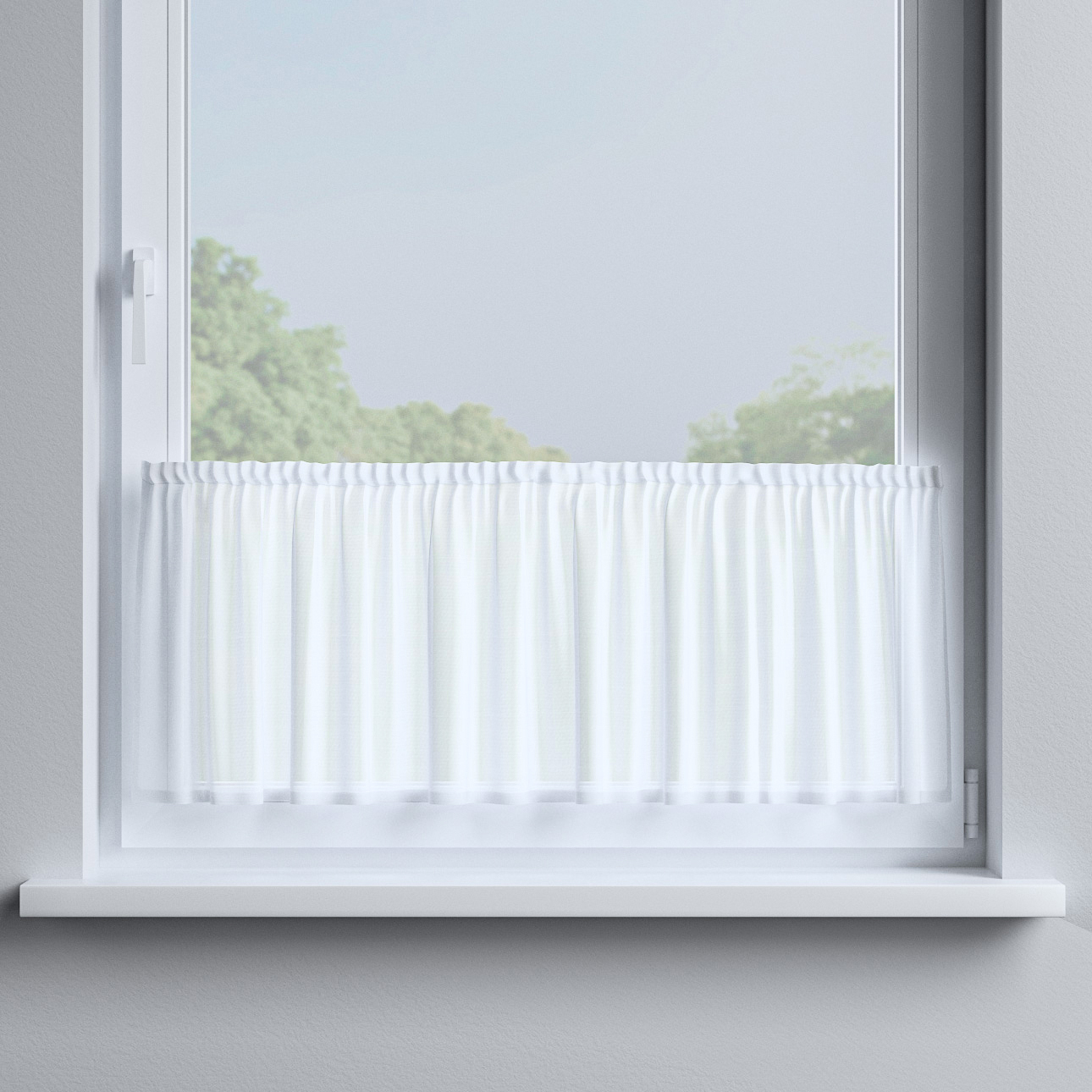 Zazdrostka prosta na metry