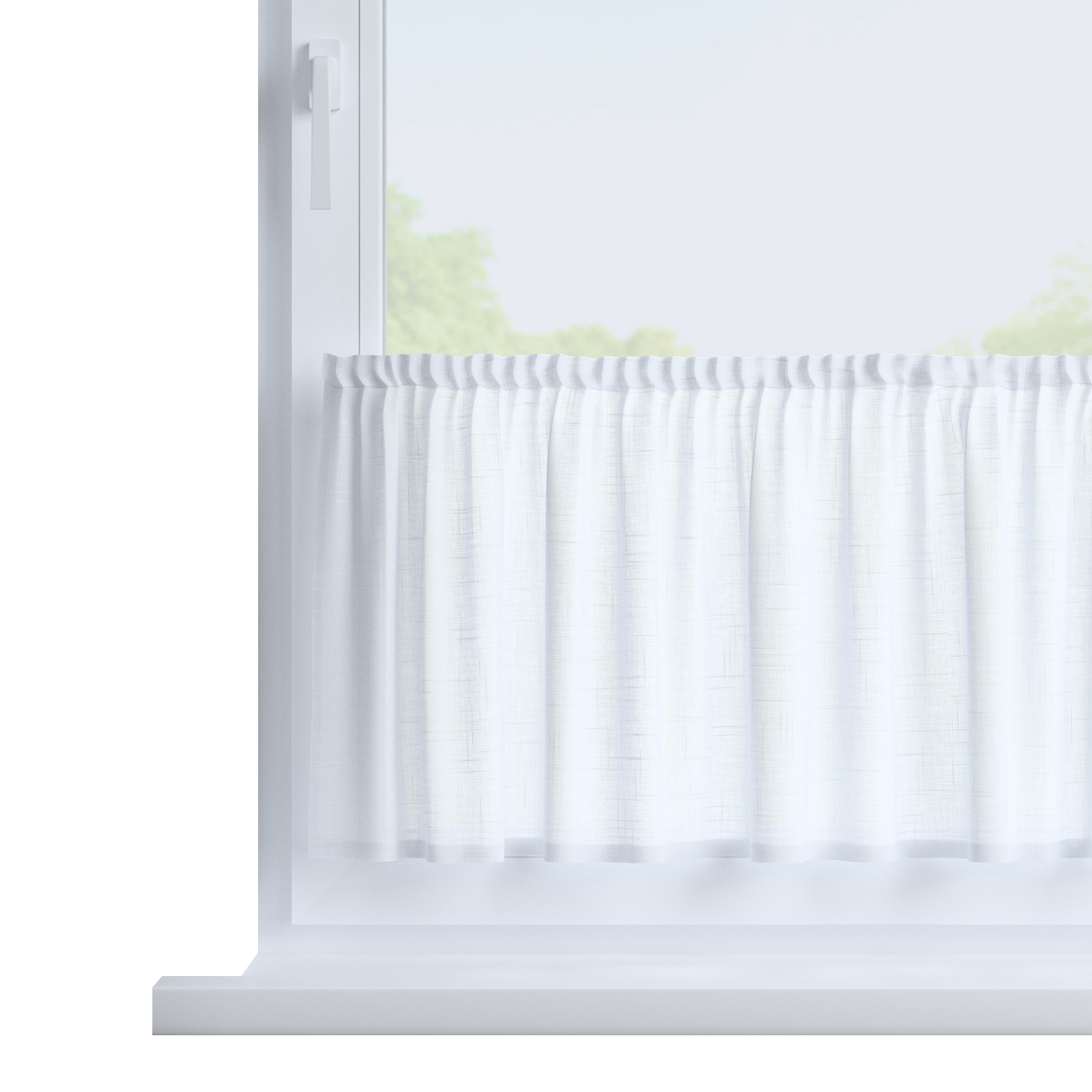 Zazdrostka prosta na metry