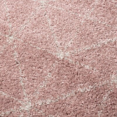 Dywan Royal Nomadic Living rose/cream 120x170cm