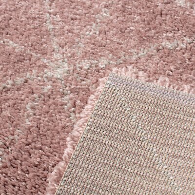 Dywan Royal Nomadic Living rose/cream 120x170cm 120 x 170 cm