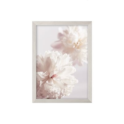 Obraz Peony II 21x30cm silver 21 x 30 cm
